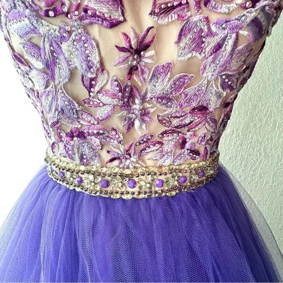 Floral Embroidered Ball Gown Size XS - Picture 8 of 17